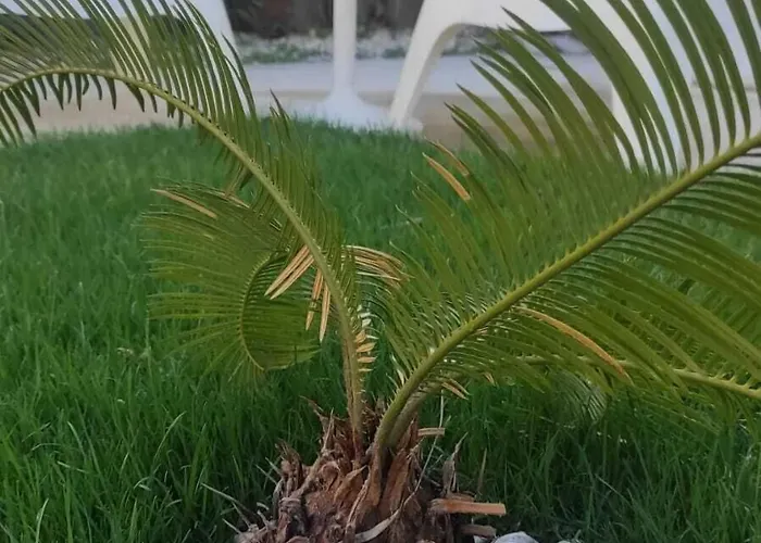 Aparthotel Marina Sahil Çeşme